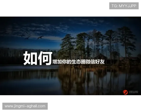 问鼎朋友圈：如何建设影响力与提升个人品牌形象