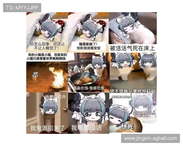 优质AG亚官游登录线路推荐，确保玩家畅享无忧游戏体验